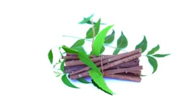 Neem mükemmel bir nemlendiricidir ve böcek öldürücü ve tıbbi özellikleri olan çeşitli bileşikler içerir. Azadirachta indica - Neem ağacı yapraklarının bir dalı. Doğal tıp, Neem ağacı, doğal tıp.