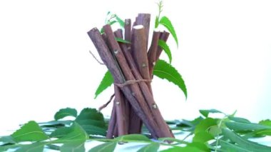 Neem mükemmel bir nemlendiricidir ve böcek öldürücü ve tıbbi özellikleri olan çeşitli bileşikler içerir. Azadirachta indica - Neem ağacı yapraklarının bir dalı. Doğal tıp, Neem ağacı, doğal tıp.