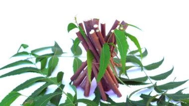 Neem mükemmel bir nemlendiricidir ve böcek öldürücü ve tıbbi özellikleri olan çeşitli bileşikler içerir. Azadirachta indica - Neem ağacı yapraklarının bir dalı. Doğal tıp, Neem ağacı, doğal tıp.