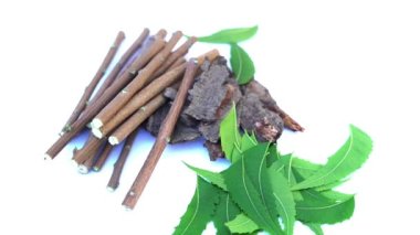 Ashwagandha Kuru Kök Şifalı Bitki ve Taze Yapraklar, Withania Somnifera, Ashwagandha, Indian Ginseng, Poison Gooseberry, veya Winter Cherry olarak da bilinir..