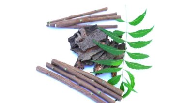 Neem mükemmel bir nemlendiricidir ve böcek öldürücü ve tıbbi özellikleri olan çeşitli bileşikler içerir. Azadirachta indica - Neem ağacı yapraklarının bir dalı. Doğal tıp, Neem ağacı, doğal tıp.