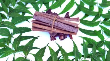 Neem mükemmel bir nemlendiricidir ve böcek öldürücü ve tıbbi özellikleri olan çeşitli bileşikler içerir. Azadirachta indica - Neem ağacı yapraklarının bir dalı. Doğal tıp, Neem ağacı, doğal tıp.