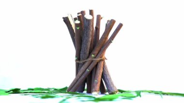 Neem mükemmel bir nemlendiricidir ve böcek öldürücü ve tıbbi özellikleri olan çeşitli bileşikler içerir. Azadirachta indica - Neem ağacı yapraklarının bir dalı. Doğal tıp, Neem ağacı, doğal tıp.