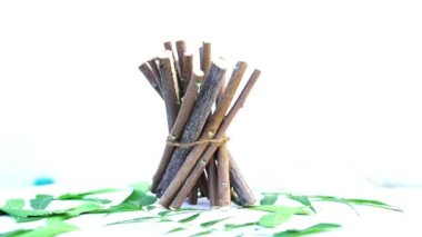 Neem mükemmel bir nemlendiricidir ve böcek öldürücü ve tıbbi özellikleri olan çeşitli bileşikler içerir. Azadirachta indica - Neem ağacı yapraklarının bir dalı. Doğal tıp, Neem ağacı, doğal tıp.