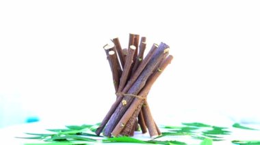 Neem mükemmel bir nemlendiricidir ve böcek öldürücü ve tıbbi özellikleri olan çeşitli bileşikler içerir. Azadirachta indica - Neem ağacı yapraklarının bir dalı. Doğal tıp, Neem ağacı, doğal tıp.