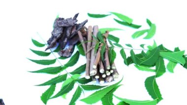 Neem mükemmel bir nemlendiricidir ve böcek öldürücü ve tıbbi özellikleri olan çeşitli bileşikler içerir. Azadirachta indica - Neem ağacı yapraklarının bir dalı. Doğal tıp, Neem ağacı, doğal tıp.