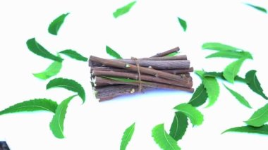 Neem mükemmel bir nemlendiricidir ve böcek öldürücü ve tıbbi özellikleri olan çeşitli bileşikler içerir. Azadirachta indica - Neem ağacı yapraklarının bir dalı. Doğal tıp, Neem ağacı, doğal tıp.