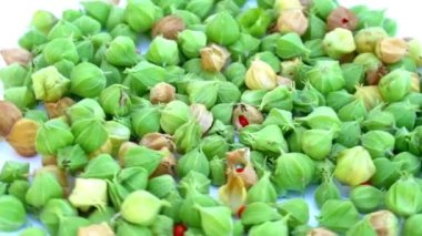 Ashwagandha bitkisel ilaçlar. Ashwagandha olarak bilinen Somnifera bitkisiyle. Hint ginsengi otları, zehirli Bektaşi üzümü, ya da kış kirazı. Vücut stresine iyi gelir. Bağışıklık güçlendirici fabrikası.
