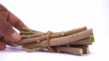 Neem çubuklu meyve ve beyaz arka planda izole edilmiş neem yaprağı. Neem mükemmel bir nemlendiricidir ve böcek öldürücü ve tıbbi özellikleri olan çeşitli bileşikler içerir..