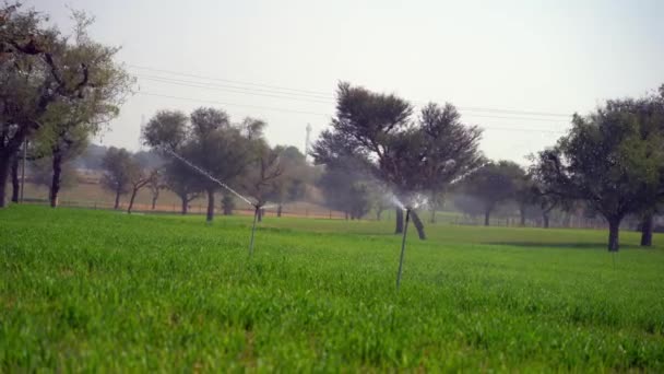 農業分野での新しい技術ベースの自動散水 近代的な灌漑システムと水の概念を保存 — ストック動画