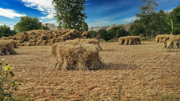 Haystacks Farm Agriculture — Stock Photo, Image