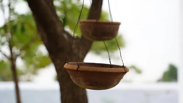 Vista Alimentador Pássaros Pendurado Árvore — Fotografia de Stock