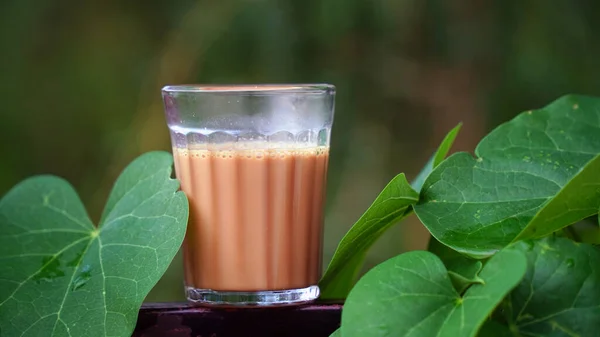 Čerstvý Čaj Mléka Nebo Indický Kadak Chai — Stock fotografie