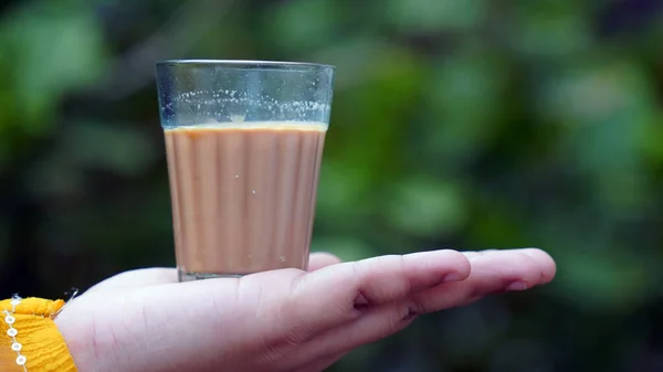 印度玛莎拉茶或传统奶茶的头像 印度的有机羊草或草本植物饮料 冬季有利于免疫力的增强 — 图库照片