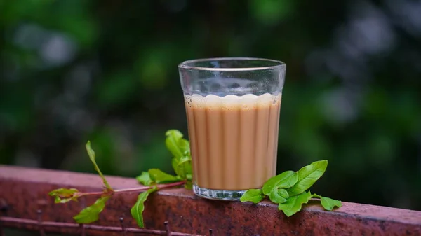 Egy Csésze Frissen Főzött Fekete Tea Menekülő Gőz Meleg Lágy — Stock Fotó