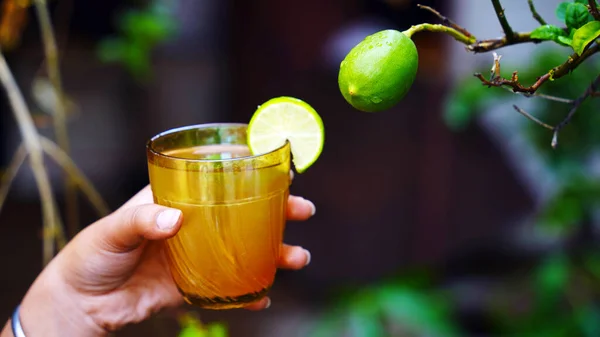 新鮮なレモンジュースのガラス 暗い背景にミントで飾られています 健康的な飲み物だ サイドビュー コピースペース — ストック写真