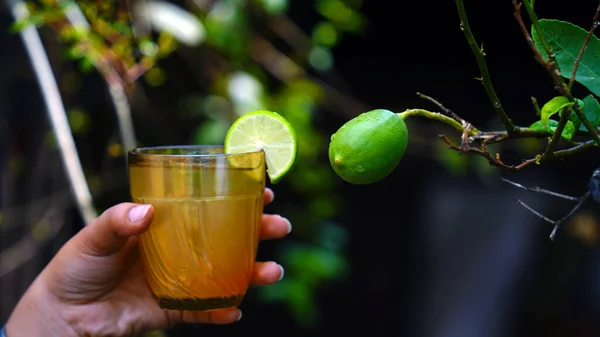 Copo Suco Limão Fresco Limonada Com Hortelã Fundo Escuro Bebidas — Fotografia de Stock