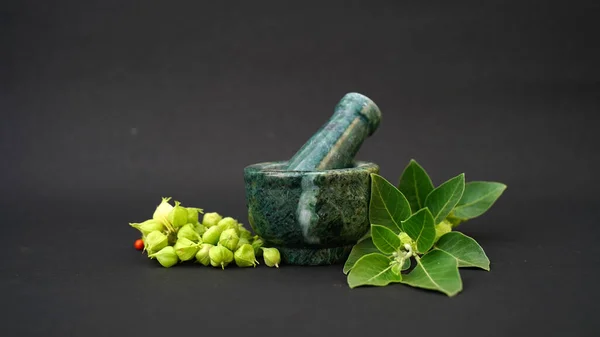 Withania somnifera, genellikle ashwagandha, Hint ginsengi, zehirli Bektaşi üzümü ya da kış kirazı olarak bilinir..
