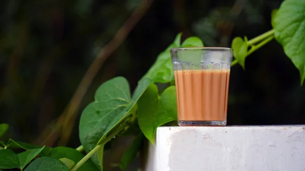 新鮮な黒茶のカップ 暖かい柔らかい光 暗い背景をエスケープします 新鮮なミルクティーやインドカダックチャイ マサラティー — ストック写真
