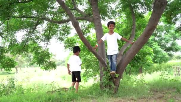 Μικρά Αγόρια Λευκό Shirt Παίζουν Και Αναρρίχηση Στο Εξωτερικό Πάρκο — Αρχείο Βίντεο