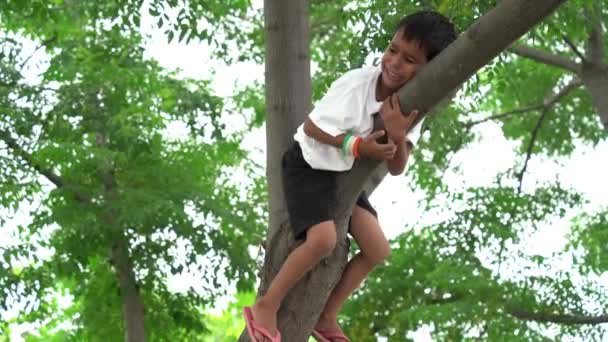Ένα Αγοράκι Που Χαμογελούσε Και Σκαρφάλωνε Στο Δέντρο Την Ευκαιρία — Αρχείο Βίντεο