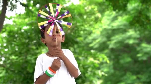 Portrait Happy Cute Little Boy Holding Pinwheel Park — Stock Video