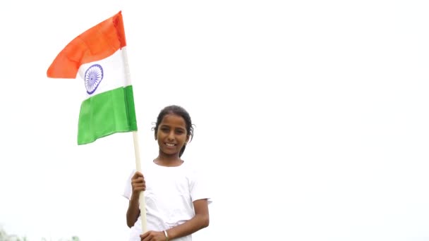 흔들거나 달리는 귀여운 아이들은 배경에 독립기념일이나 공화국의 — 비디오