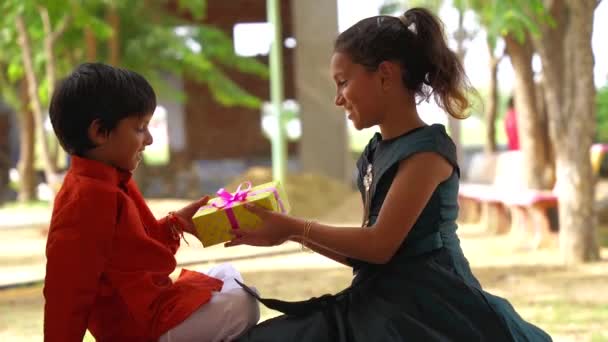 Sevimli Hintli Kız Erkek Kardeş Raksha Bandhan Festivalini Bhai Dooj — Stok video