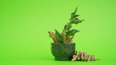 Ashwagandha Kuru Kök Şifalı Bitki ve Taze Yapraklar, Withania Somnifera, Ashwagandha, Indian Ginseng, Poison Gooseberry, veya Winter Cherry olarak da bilinir. Beyaz Arkaplanda İzole Edilmiş.