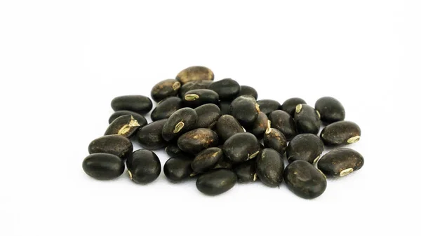 Phaseolus Vulgaris Scientific Name Black Turtle Bean Legume Also Known — Stock Photo, Image
