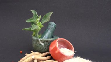 Ashwagandha Kuru Kök Şifalı Bitki ve Taze Yapraklar, Withania Somnifera, Ashwagandha, Hint Ginseng, Zehirli Bektaşi üzümleri veya Kışlık Kirazlar olarak da bilinir. 