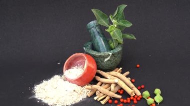 Ashwagandha Kuru Kök Şifalı Bitki ve Taze Yapraklar, Withania Somnifera, Ashwagandha, Hint Ginseng, Zehirli Bektaşi üzümleri veya Kışlık Kirazlar olarak da bilinir. 