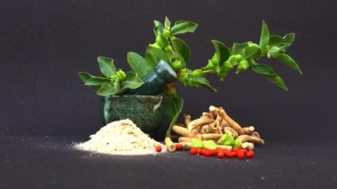Ashwagandha Kuru Kök Şifalı Bitki ve Taze Yapraklar, Withania Somnifera, Ashwagandha, Hint Ginseng, Zehirli Bektaşi üzümleri veya Kışlık Kirazlar olarak da bilinir. 