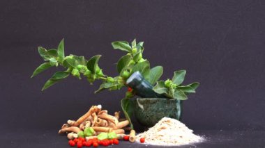 Ashwagandha Kuru Kök Şifalı Bitki ve Taze Yapraklar, Withania Somnifera, Ashwagandha, Hint Ginseng, Zehirli Bektaşi üzümleri veya Kışlık Kirazlar olarak da bilinir. 