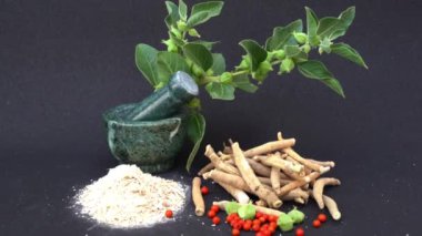 Ashwagandha Kuru Kök Şifalı Bitki ve Taze Yapraklar, Withania Somnifera, Ashwagandha, Hint Ginseng, Zehirli Bektaşi üzümleri veya Kışlık Kirazlar olarak da bilinir. 