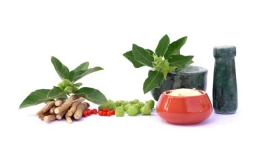 Ashwagandha Kuru Kök Şifalı Bitki ve Taze Yapraklar, Withania Somnifera, Ashwagandha, Hint Ginseng, Zehirli Bektaşi üzümü veya Beyaz Arkaplanda İzole Kış Kirazları olarak da bilinir..