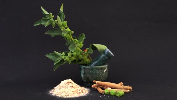 Ashwagandha Dry Root Medicinal Herb Met Verse Bladeren Ook Bekend — Stockvideo