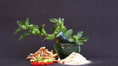 Ashwagandha Kuru Kök Şifalı Bitki ve Taze Yapraklar, Withania Somnifera, Ashwagandha, Hint Ginseng, Zehirli Bektaşi üzümleri veya Kışlık Kirazlar olarak da bilinir. 