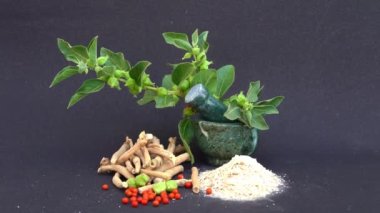 Ashwagandha Kuru Kök Şifalı Bitki ve Taze Yapraklar, Withania Somnifera, Ashwagandha, Hint Ginseng, Zehirli Bektaşi üzümleri veya Kışlık Kirazlar olarak da bilinir. 
