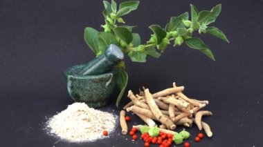 Ashwagandha Kuru Kök Şifalı Bitki ve Taze Yapraklar, Withania Somnifera, Ashwagandha, Hint Ginseng, Zehirli Bektaşi üzümleri veya Kışlık Kirazlar olarak da bilinir. 