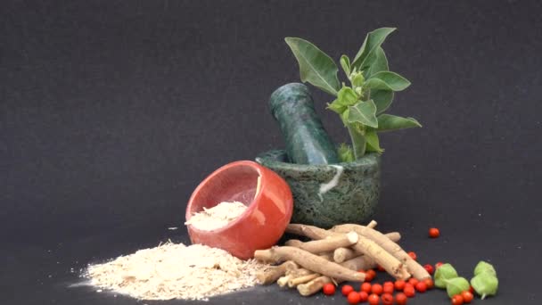 Ashwagandha Dry Root Medicinal Herb Med Färska Blad Även Känd — Stockvideo