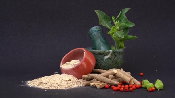 Ashwagandha Dry Root Medicinal Herb Φρέσκα Φύλλα Επίσης Γνωστή Withania — Αρχείο Βίντεο