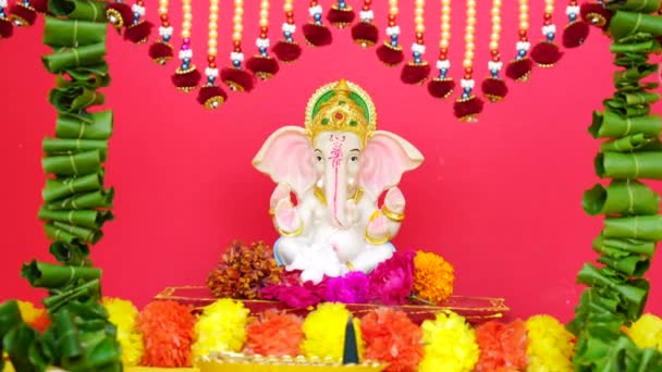 ヒンドゥー教のゴッド ガネーシャがピンクの背景を覆う ガネシャ フェスティバル ガネシュ チャタチ フェスティバル ディワリ フェスティバルを祝う — ストック動画