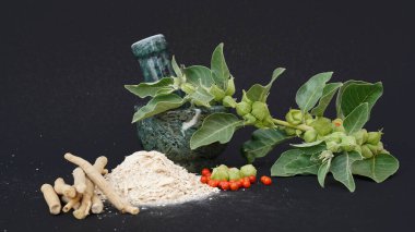 Withania somnifera, genellikle ashwagandha, Hint ginsengi, zehirli Bektaşi üzümü ya da kış kirazı olarak bilinir..