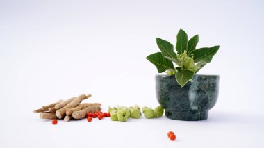 Withania somnifera, genellikle ashwagandha, Hint ginsengi, zehirli Bektaşi üzümü ya da kış kirazı olarak bilinir..