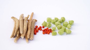 Ashwagandha Taze Yeşil Yaprakları Kök, İlaç Bitkisi, Withania Somnifera, Ashwagandha, Indian Ginseng, Poison Gooseberry, veya Winter Cherry olarak da bilinir..