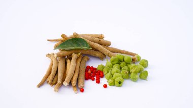 Ashwagandha Taze Yeşil Yaprakları Kök, İlaç Bitkisi, Withania Somnifera, Ashwagandha, Indian Ginseng, Poison Gooseberry, veya Winter Cherry olarak da bilinir..