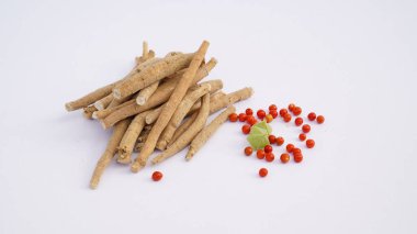 Bağışıklık güçlendirici bitki Withania somnifera, Ashwagandha olarak da bilinir kökleri ve portakal kırmızısı meyveleri yüzlerce yıldır tıbbi amaçlar için kullanılmaktadır.