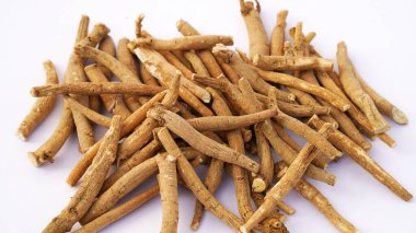 Ashwagandha Dry Root Medicinal Herb with Fresh Leaves, also known as Withania Somnifera, Ashwagandha, Indian Ginseng, Poison Gooseberry, or Winter Cherry. clipart