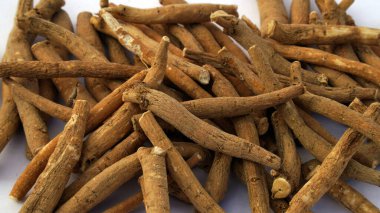 Ashwagandha Kuru Kök Şifalı Bitki ve Taze Yapraklar, Withania Somnifera, Ashwagandha, Indian Ginseng, Poison Gooseberry, veya Winter Cherry olarak da bilinir. Beyaz Arkaplanda İzole Edilmiş.